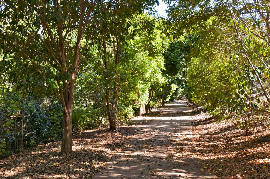 Shady tree-lined creekside walking path at Red Peak Forest Estate