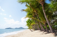 Tropical beach with palm trees in north Queensland